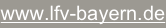 shapeimage_19_link_0